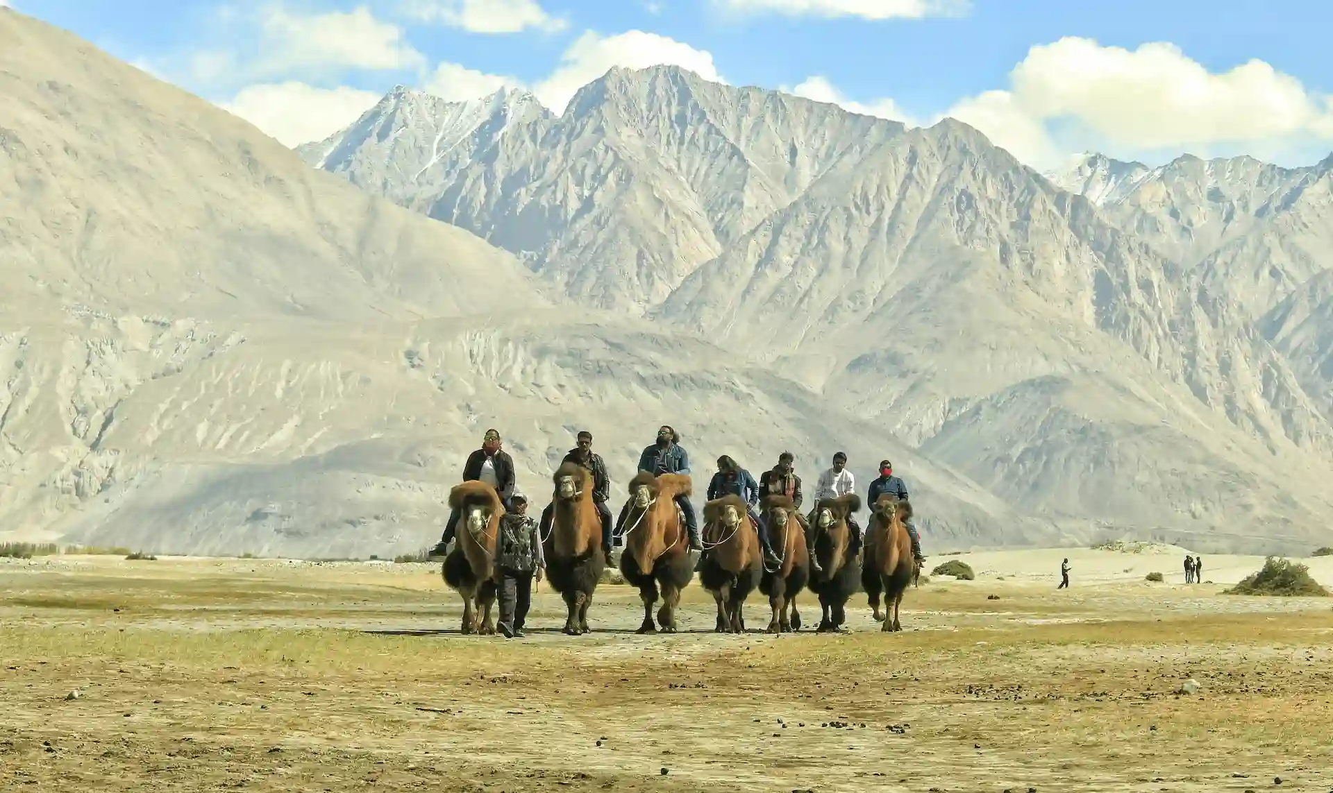 Camel rides on Nubra Valley sand dunes during a group Ladakh tour