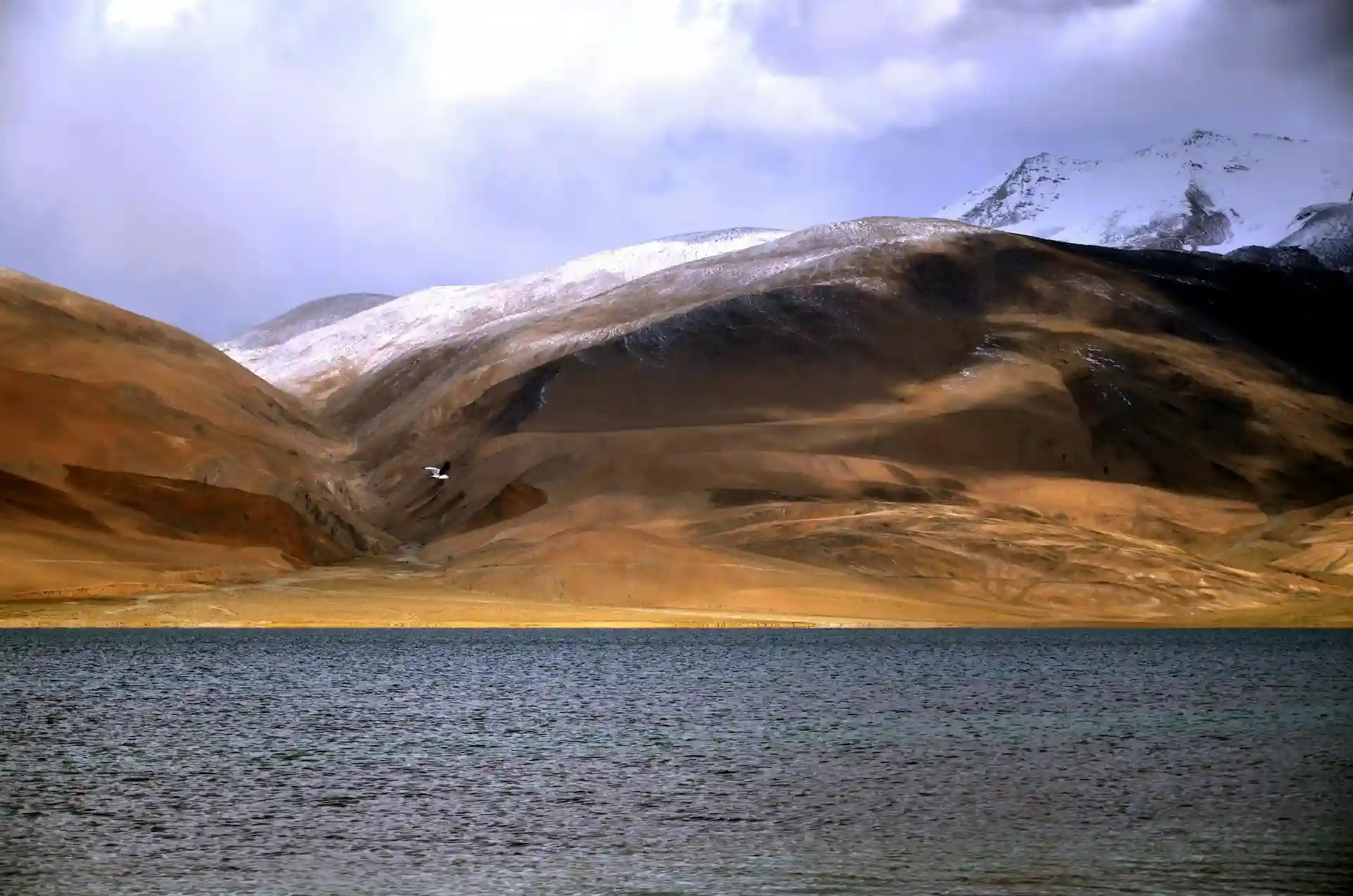 Serene Tso Moriri lake surrounded by barren hills and clear skies in remote Ladakh